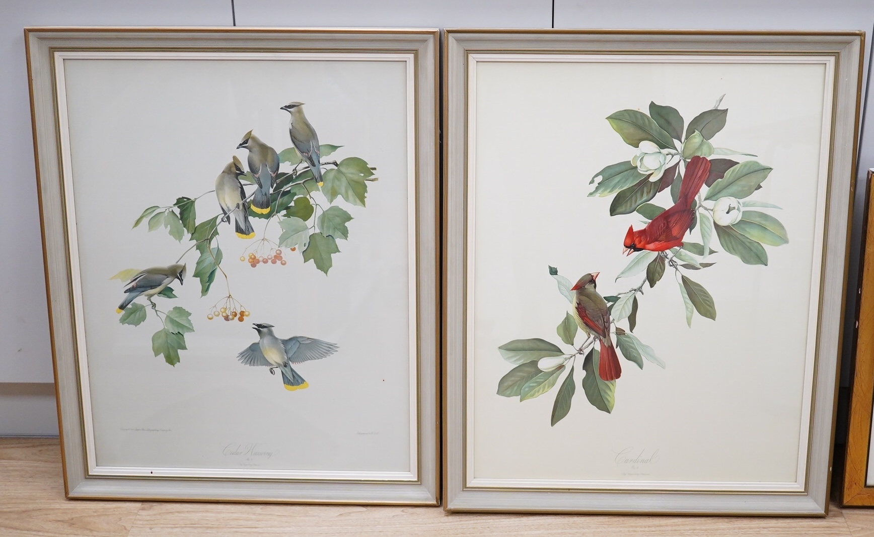 After Roger Tory-Peterson (1908-1996), pair of colour lithographs, Birds, comprising Cedar Waxwing and Cardinal, 70 x 54cm. Condition - one fair, one poor